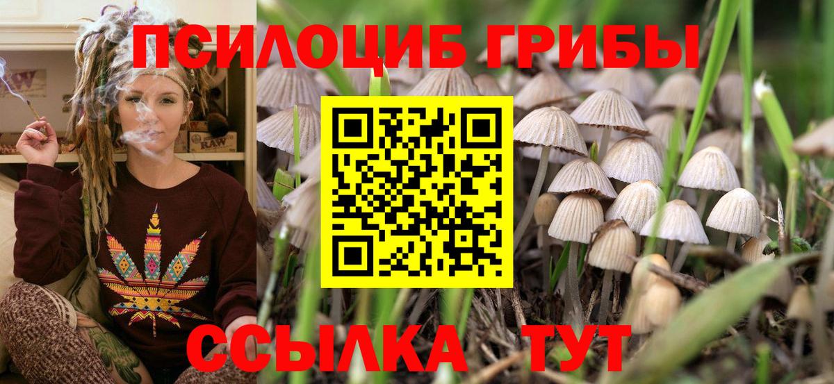 Псилоцибиновые грибы MAGIC MUSHROOMS  Вход с VPN  Урюпинск  Галлюциногенные грибы мухоморы 